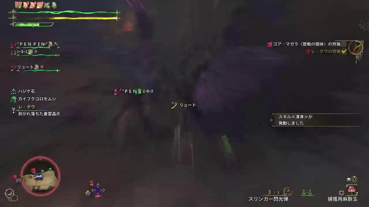 [モンハンワイルズ]お姉ちゃん参加型