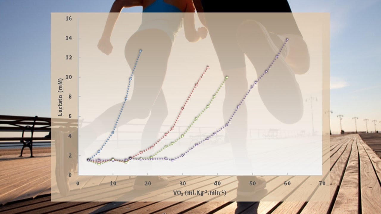 Aula 11 -  Lactacidemia
