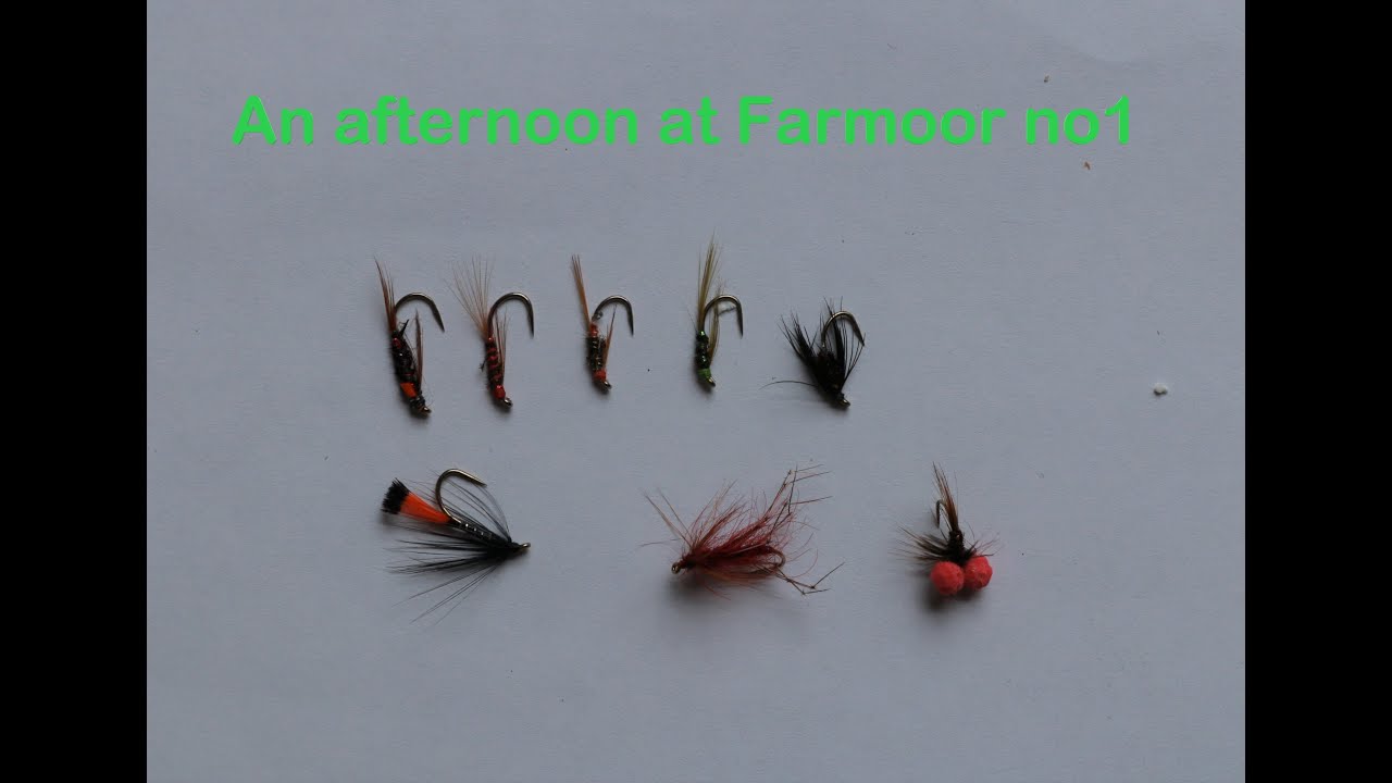 An afternoon at Farmoor No1 flyfishing