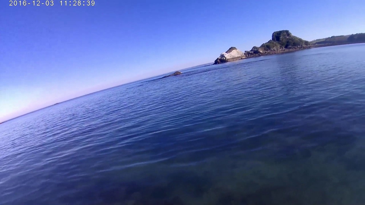 Patchinko 140 test# pays basque