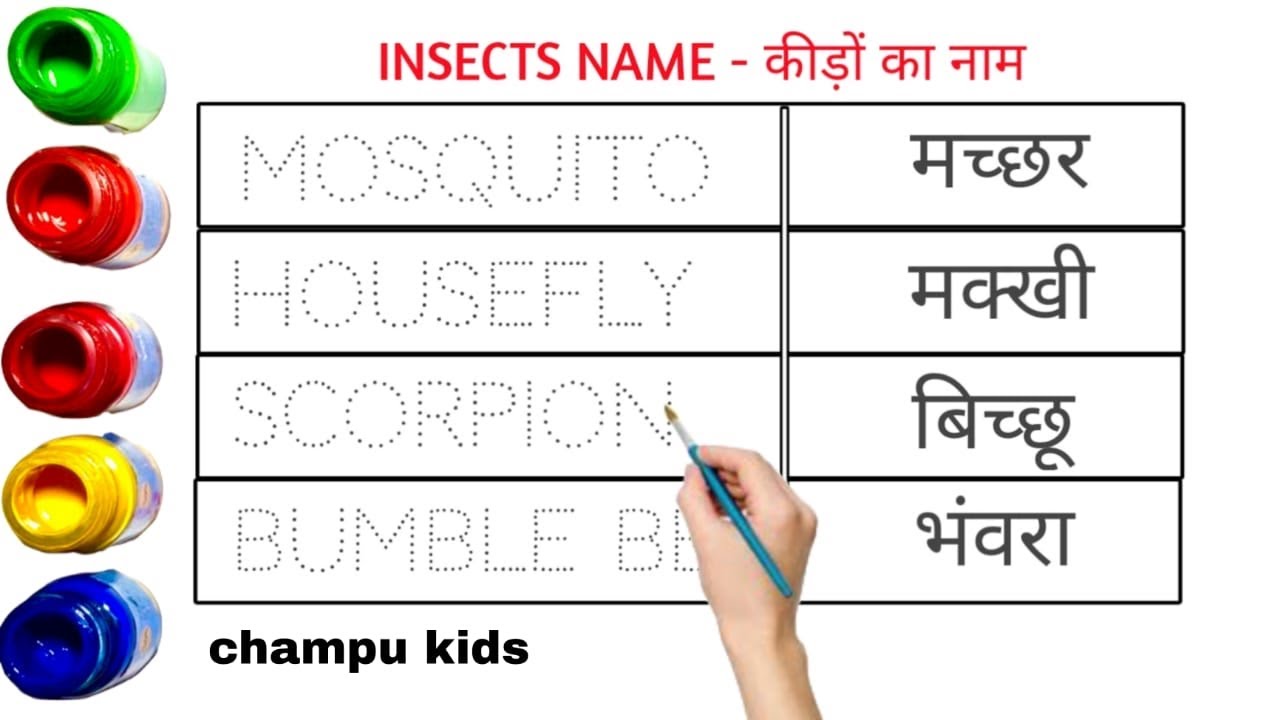 “Pet Names Learning for Kids | Cute Animal Names with Pictures & Sounds” abcd alphabet video part-5