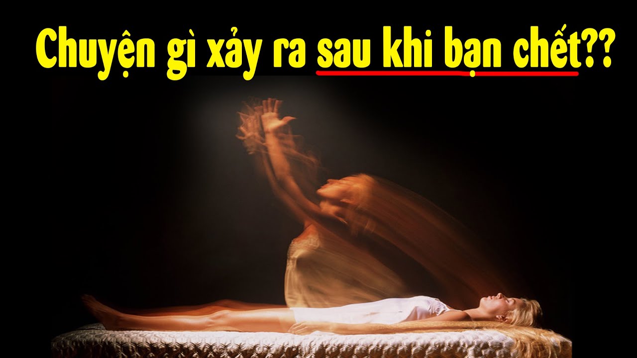 Bằng chứng cho thấy 