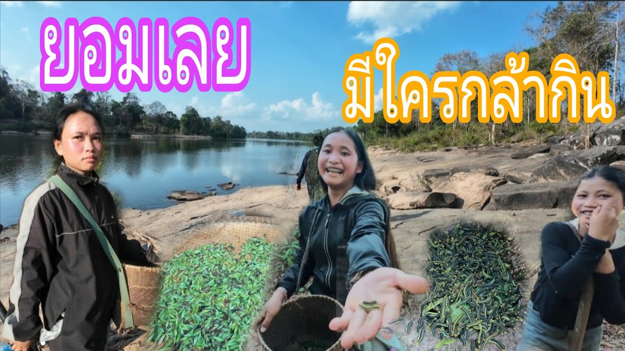 ทั้งหมู่บ้านเขากินสิ่งนี้ อาหารประจำฤดูกาล