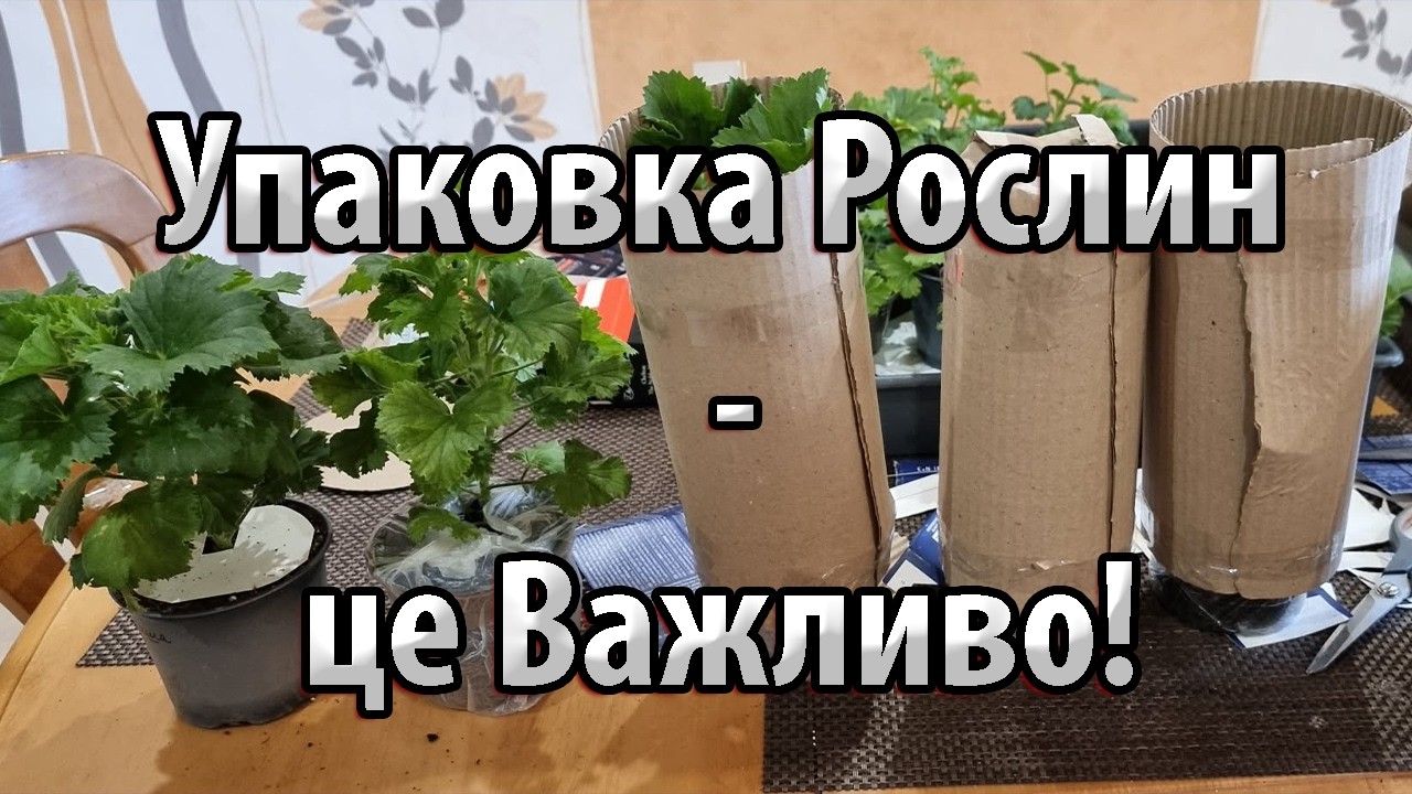 Упаковка Рослин - це Важливо!!!  Мої Лайфхаки!