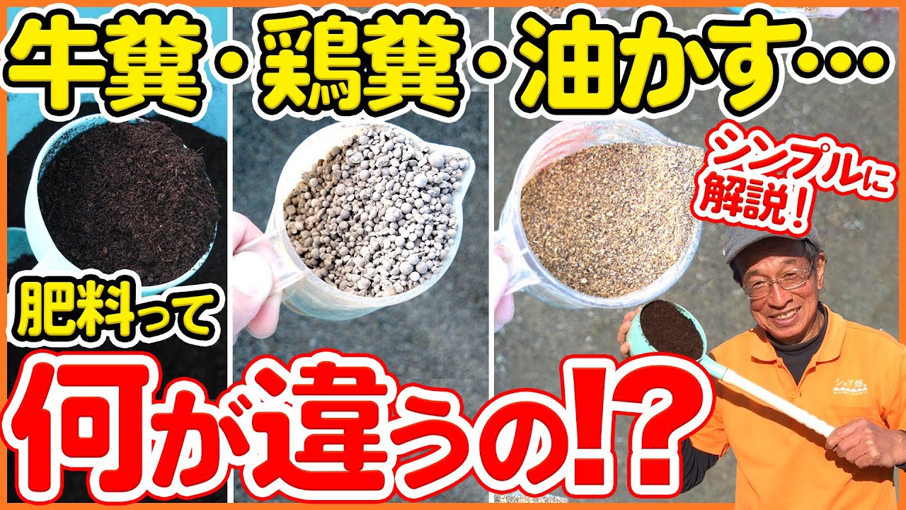 家庭菜園や農園の元肥や追肥で使う肥料の基本！初心者必見！牛糞・鶏糞・油かす、有機肥料の特徴を超シンプルに解説！/ How to use natural fertilizer