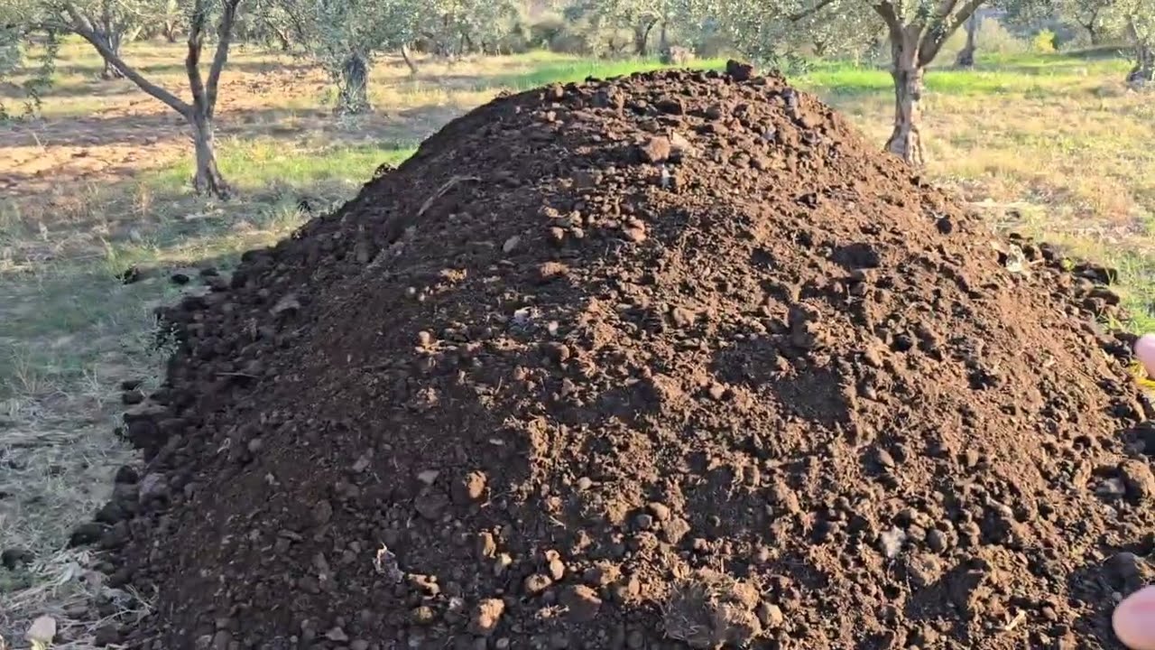 Hayvan Gübresi Ağaçlara Nasıl Uygulanır?