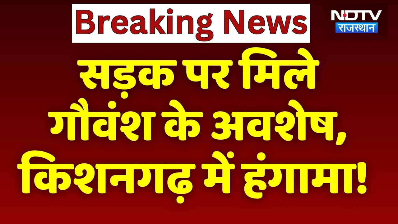 Kishangarh News: सड़क पर मिले  गौवंश के अवशेष, किशनगढ़ में सनसनी! Breaking | NDTV Rajasthan