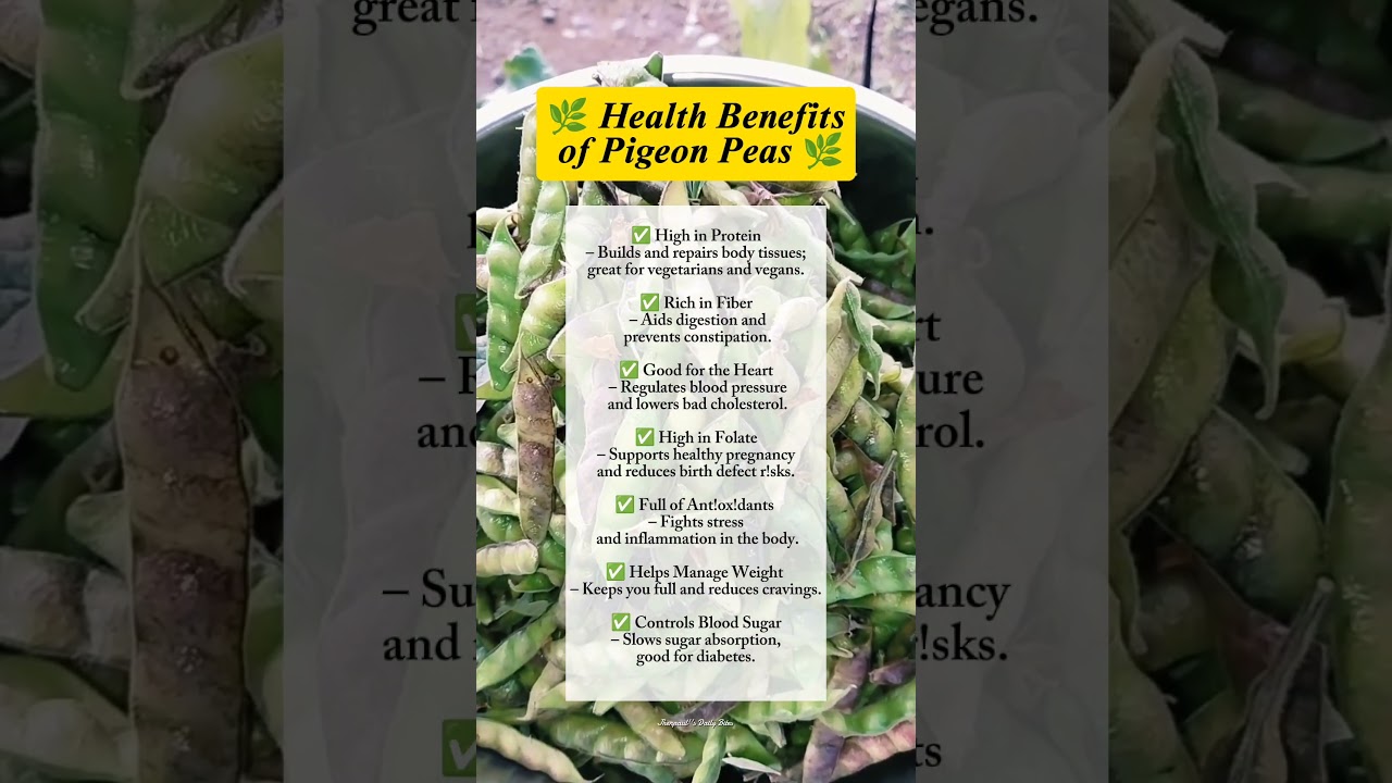 Health Benefits of Pigeon Peas #healthbenefits #wellness #shorts #shortvideo
