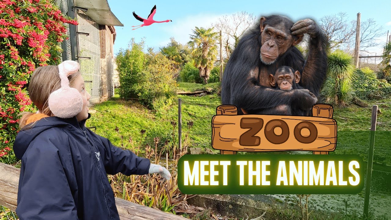 Zoo Adventure 🐒 | Amazing Animals with Aissa