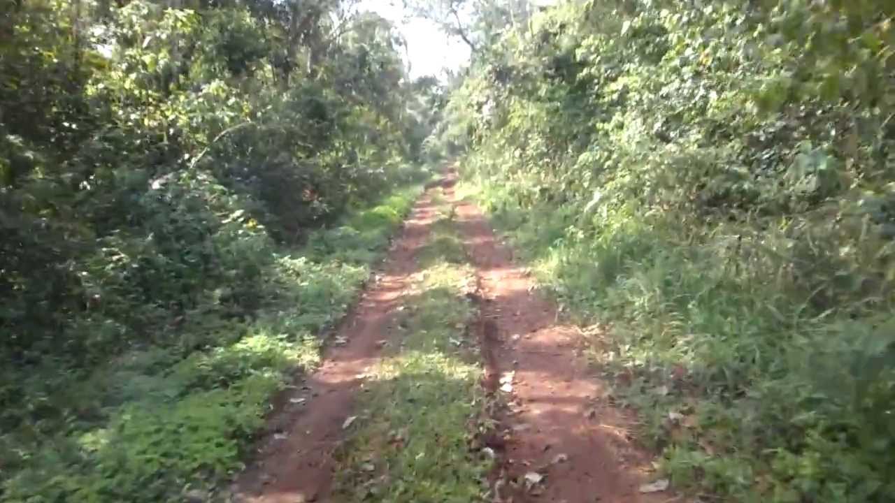 Ñacunday selva de Paraguay