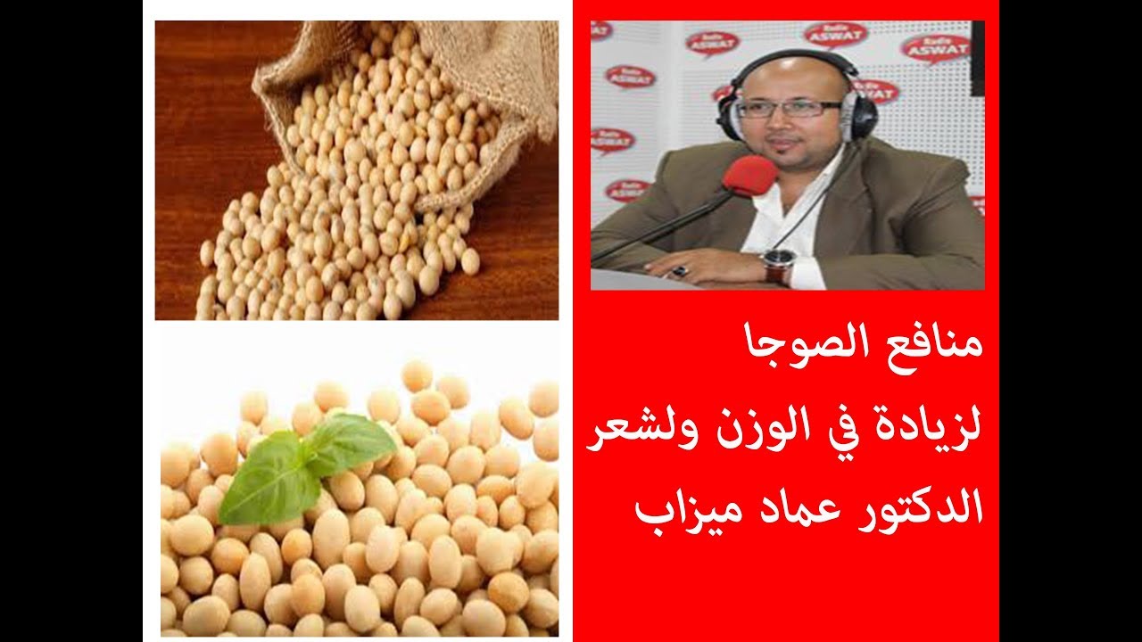 منافع الصوجا لزيادة في الوزن والشعر الدكتور عماد ميزاب