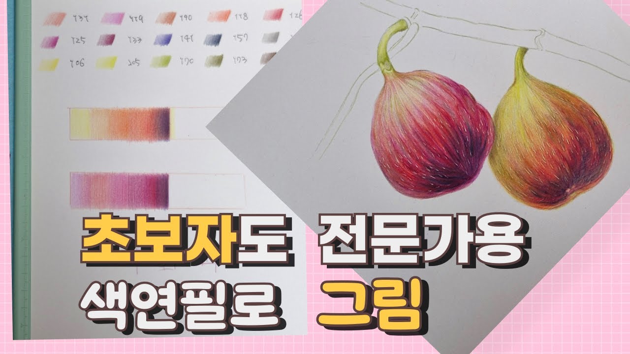 초보자가 왜 전문가용 색연필을 써야할까요? | 파버카스텔  유성색연필