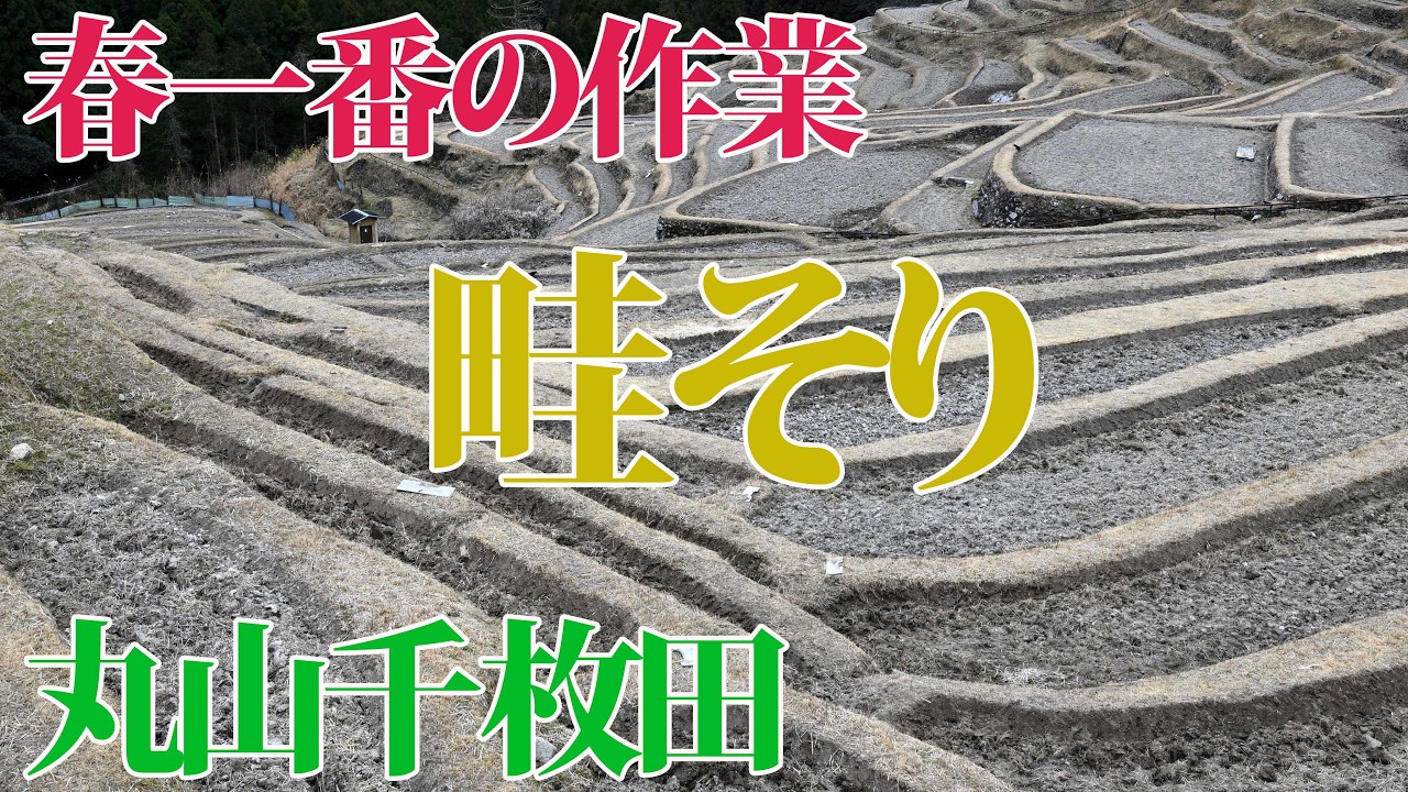 春一番の農作業「あぜそり」に密着　丸山千枚田（三重県熊野市）