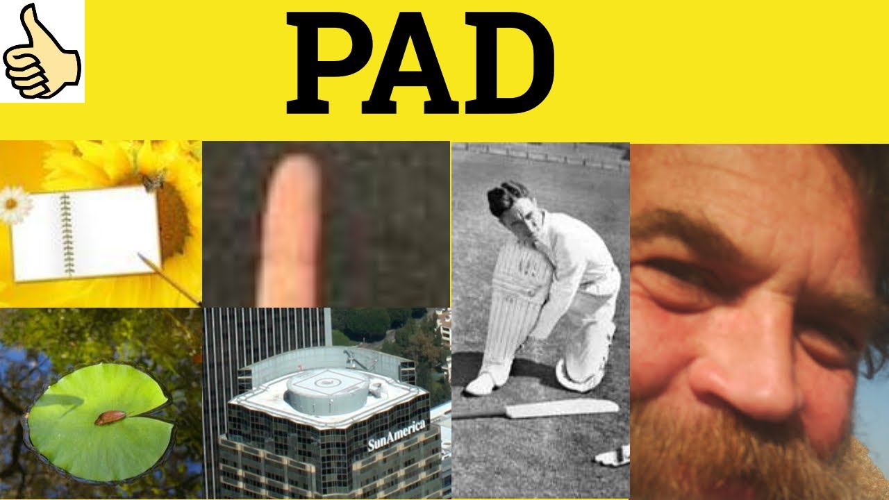 🔵 Pad - Pad Meaning - Pad Examples - Pad Definition -  Three Letter Words