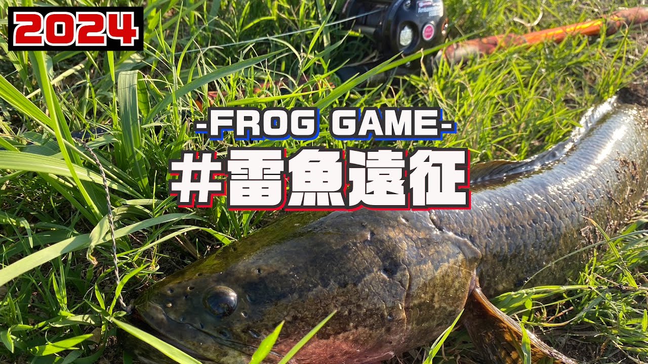 【フロッグゲーム】今年最後の雷魚釣行