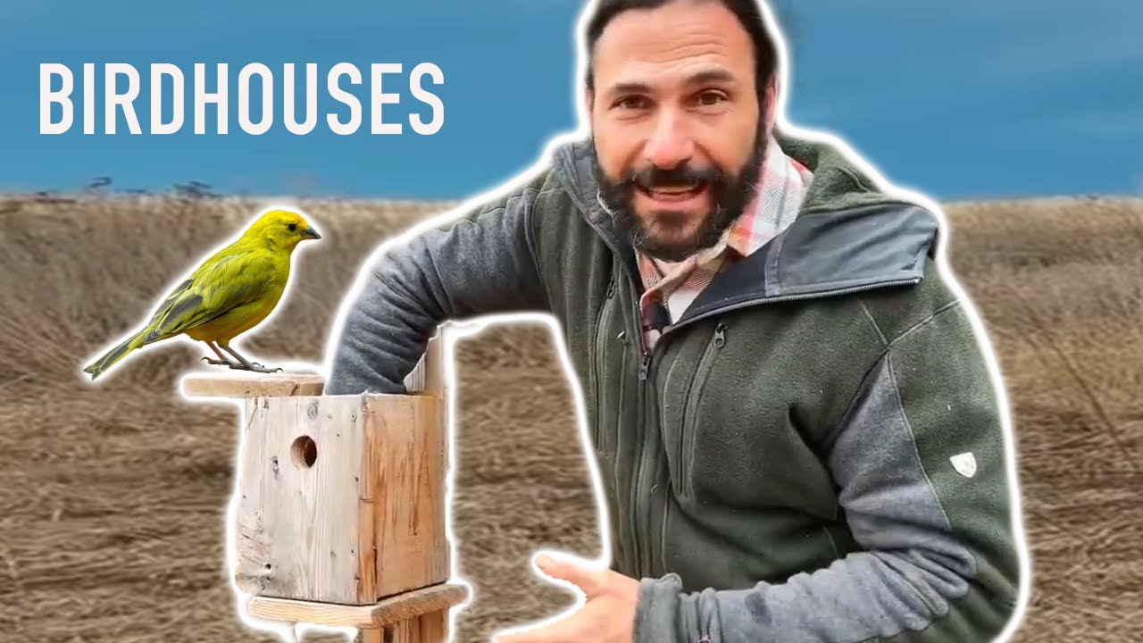 How to Invite Birds To Your Land With Birdhouses | Hazen Audel