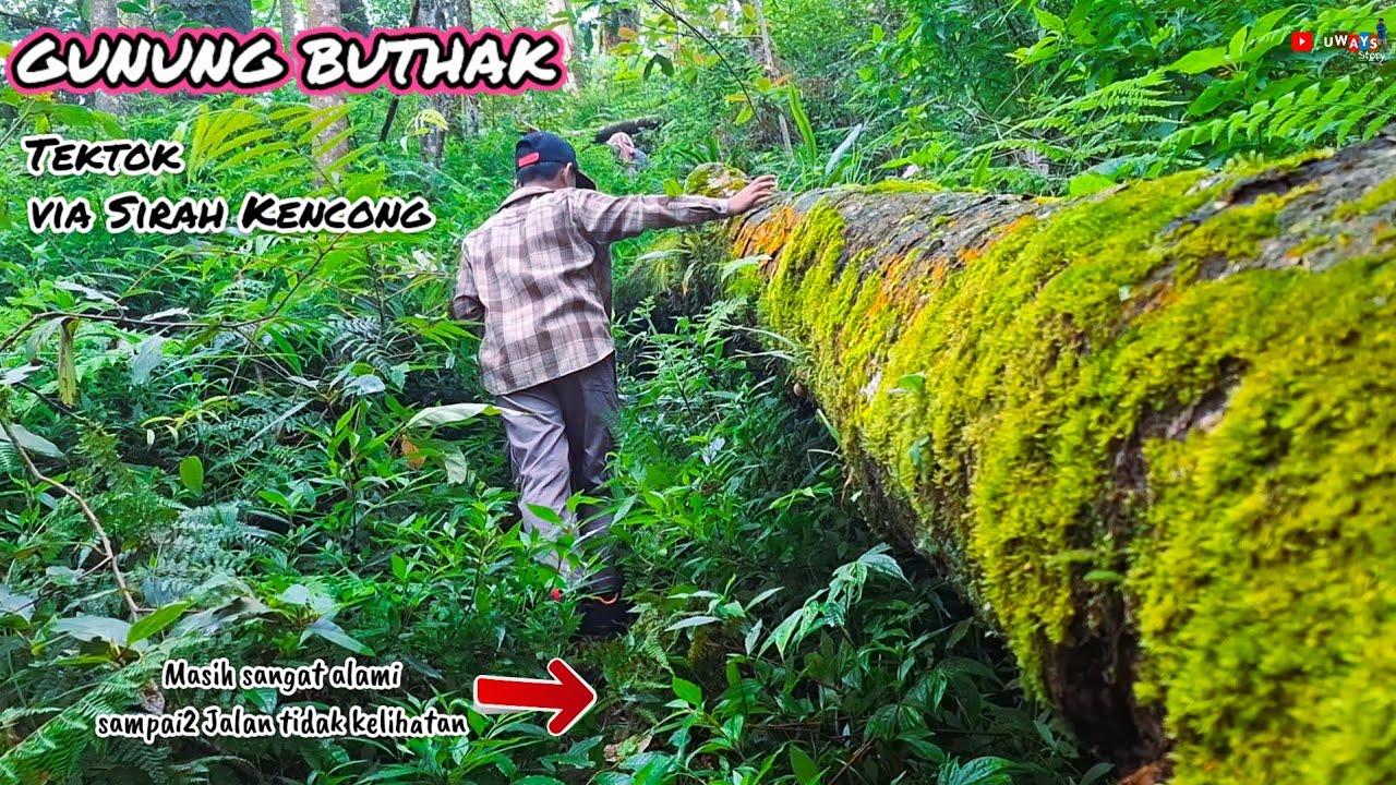 TEKTOK GUNUNG BUTHAK VIA SIRAH KENCONG