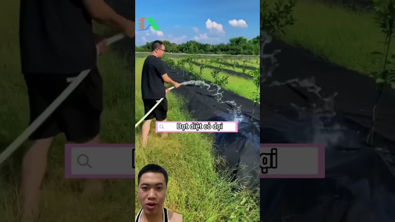 Diệt Cỏ Bằng Phương Pháp Sinh Học 