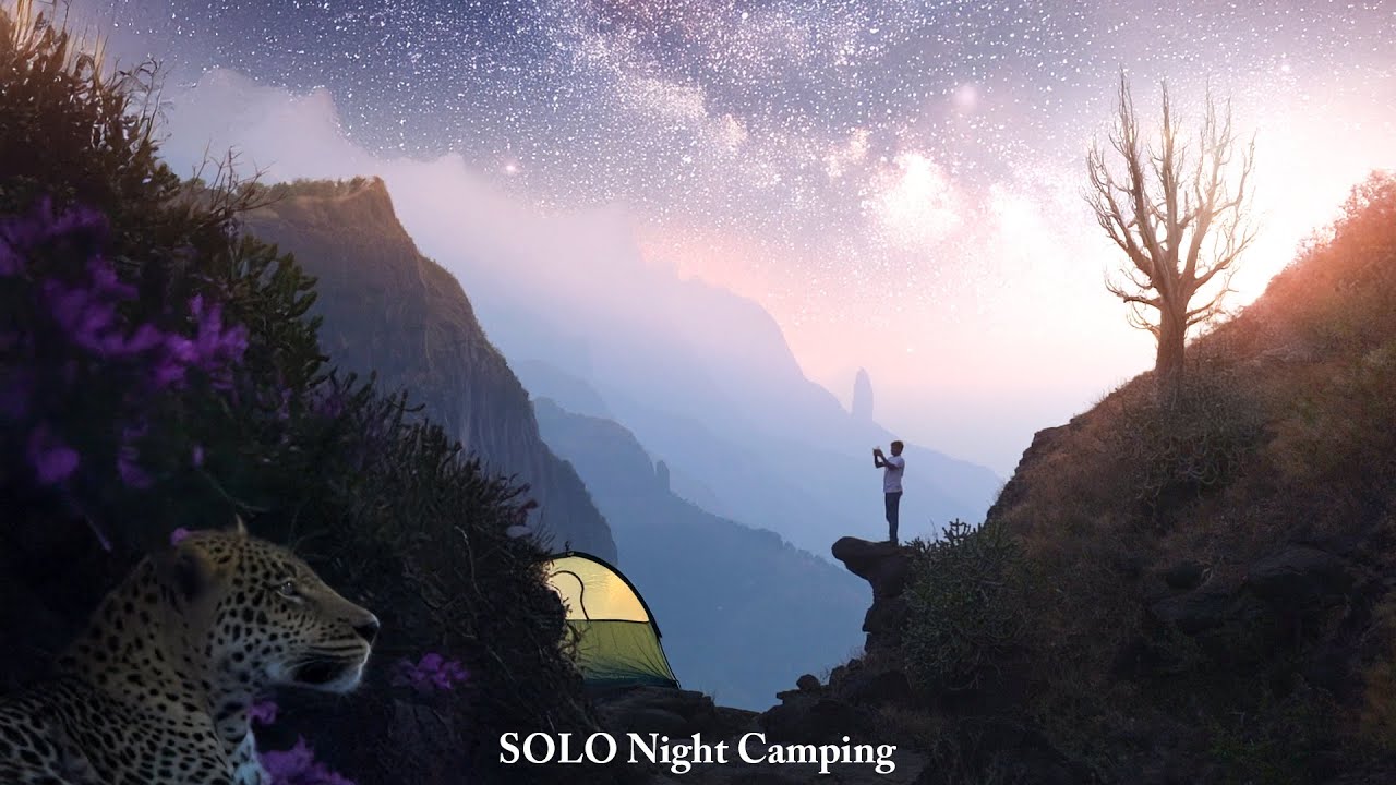 I Spent the Night in a TIGER's Territory Alone! SOLO Night Camping