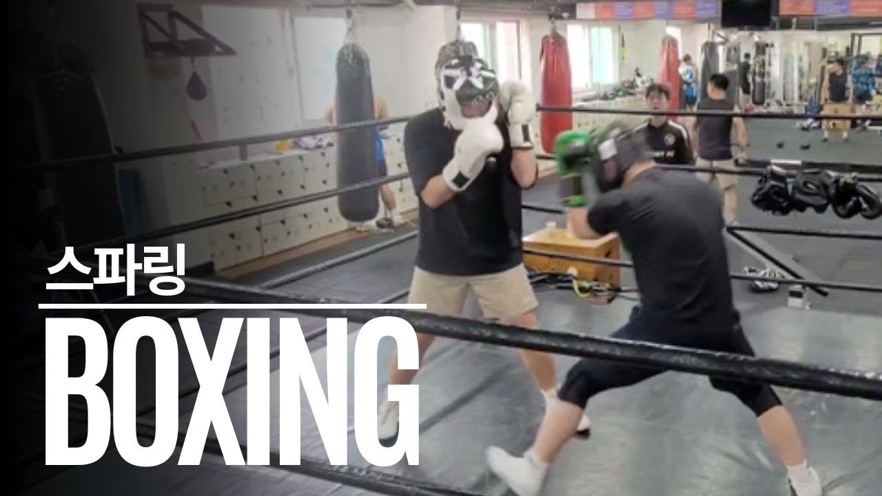 20250606 서울 관악구 대한권투본관 복싱 스파링