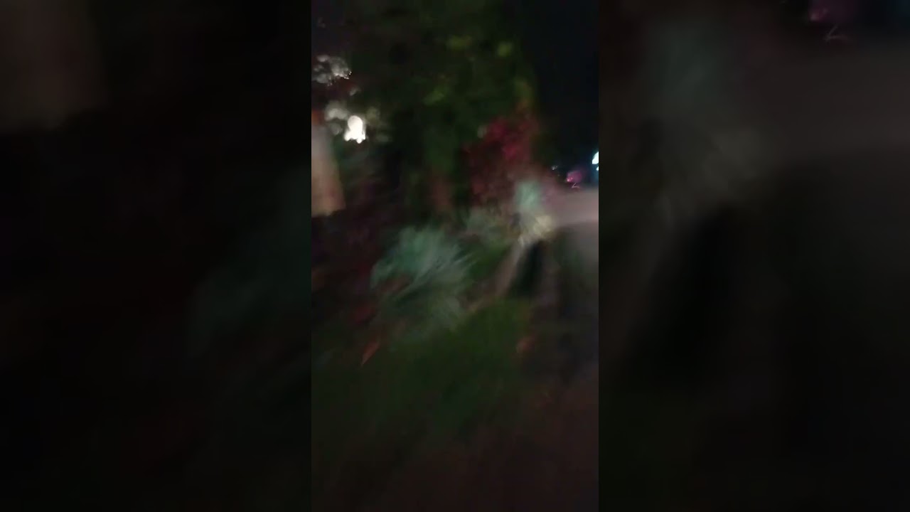 Ada apa di jalan ini iya