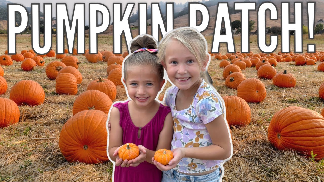 One of Biggest Pumpkins Patches Ever! | Best Bouncy Houses Ever