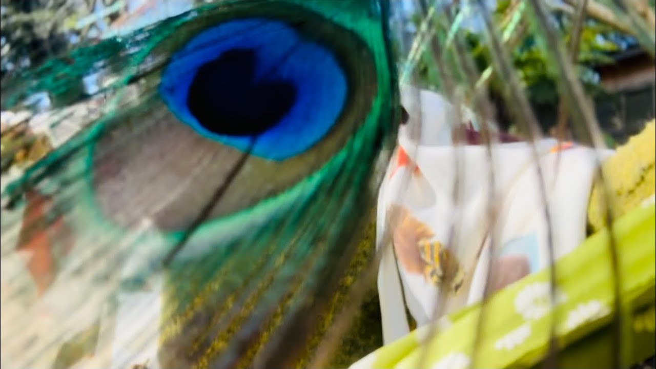 Reiki  Asmr  Meditation Kite Flying