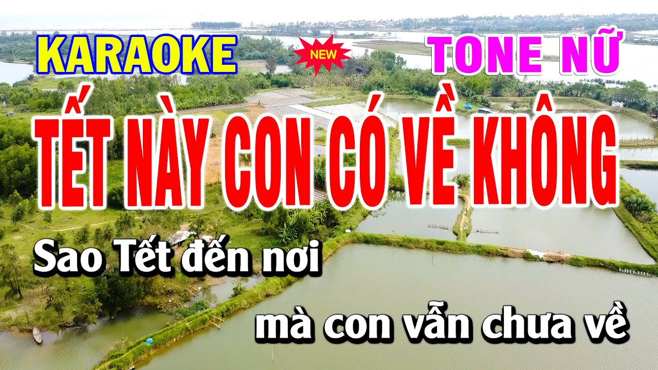🎶 Tết Này Con Có Về Không  - Karaoke Tone Nữ | 💖 Duy Sơn New | Beat Mới