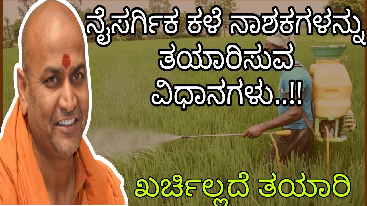 ನೈಸರ್ಗಿಕ ಕಳೆ ನಾಶಕಗಳನ್ನು ತಯಾರಿಸುವ ವಿಧಾನಗಳು..!! || ಶ್ರೀ ಕಾಡಸಿದ್ದೇಶ್ವರ ಸ್ವಾಮೀಜಿ