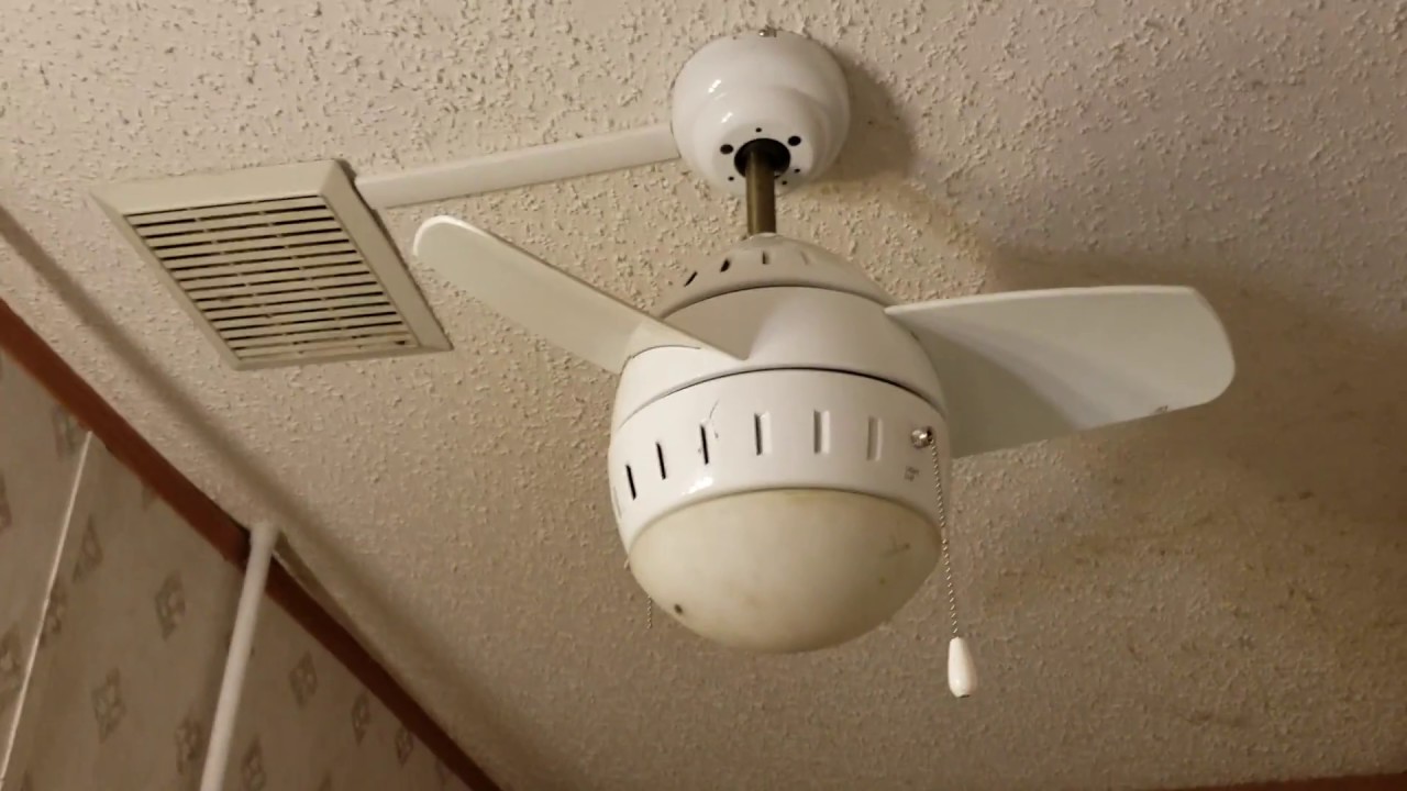 Ceiling Fans at Marce's House