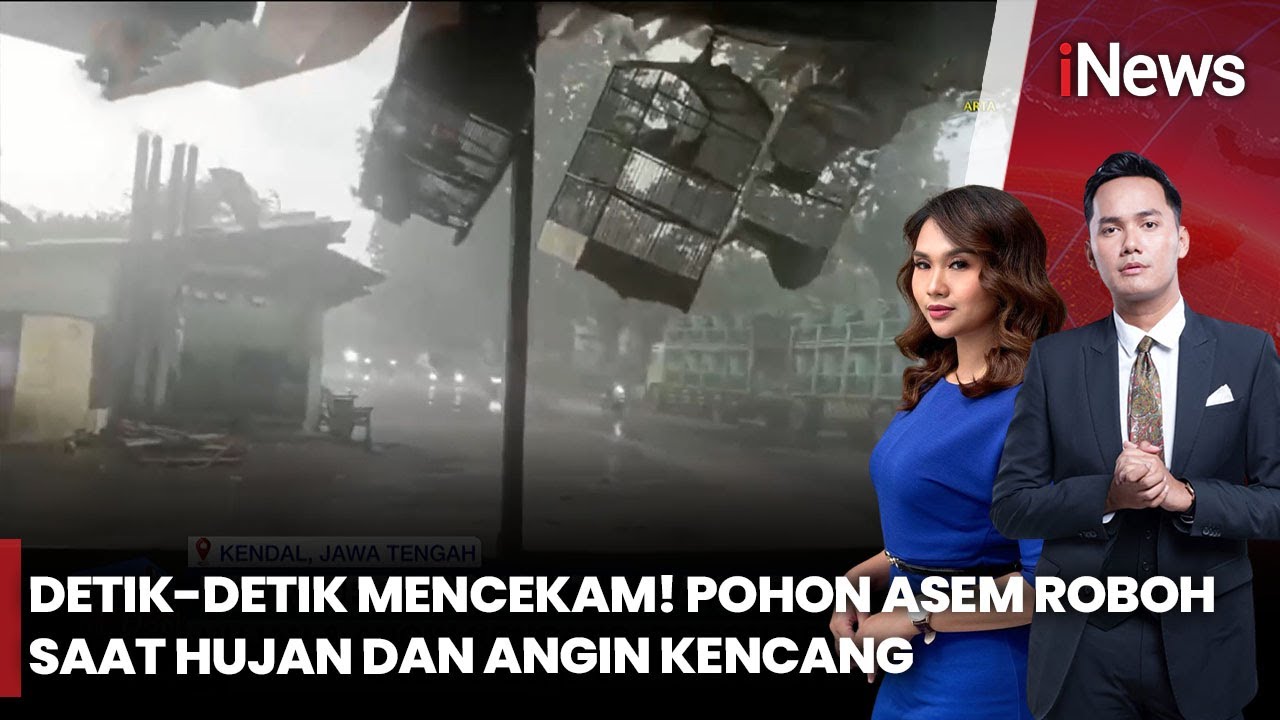 Hujan Disertai Angin Kencang, Pohon Asem Tumbang Terekam Kamera | iNews Pagi 16/1