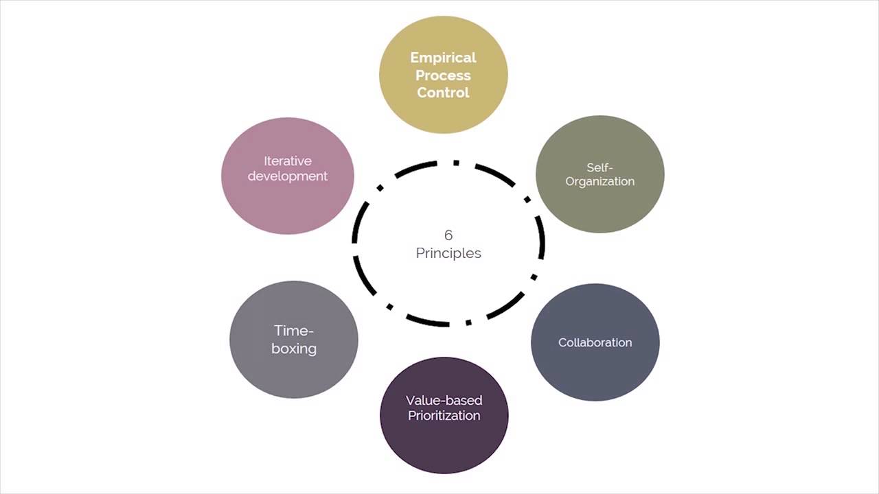 A Discussion on Basic Principles of Scrum