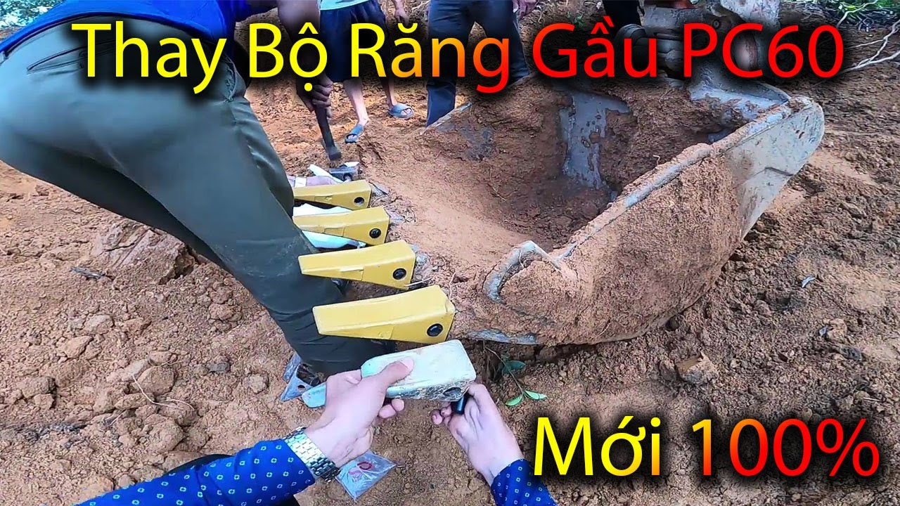Xúc Vài Xe Đât Rồi Thay BỘ Răng Gầu PC60 Cho Máy Xúc Doosan Dx55. Máy Xúc Nhỏ Gọt Vỏ Trái Đất
