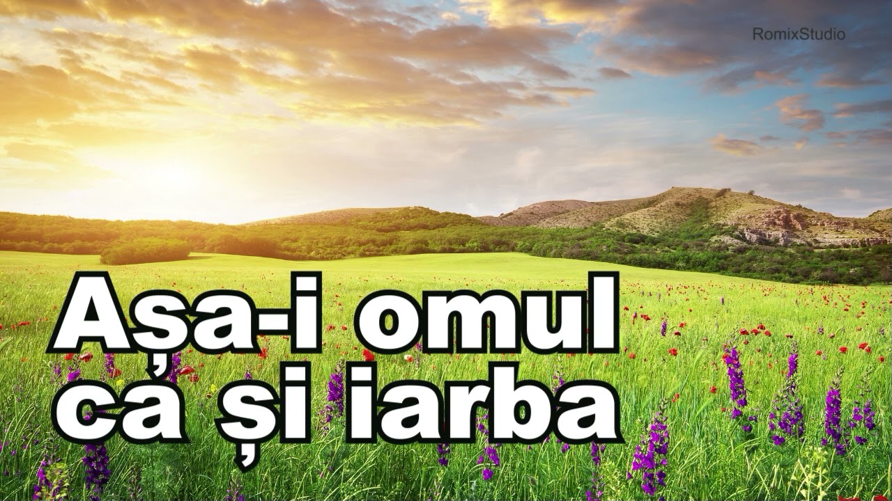Romy Band Music 2026 - Așa-i omul ca și iarba - Muzică moldovenească de petrecere, chef și voie bună