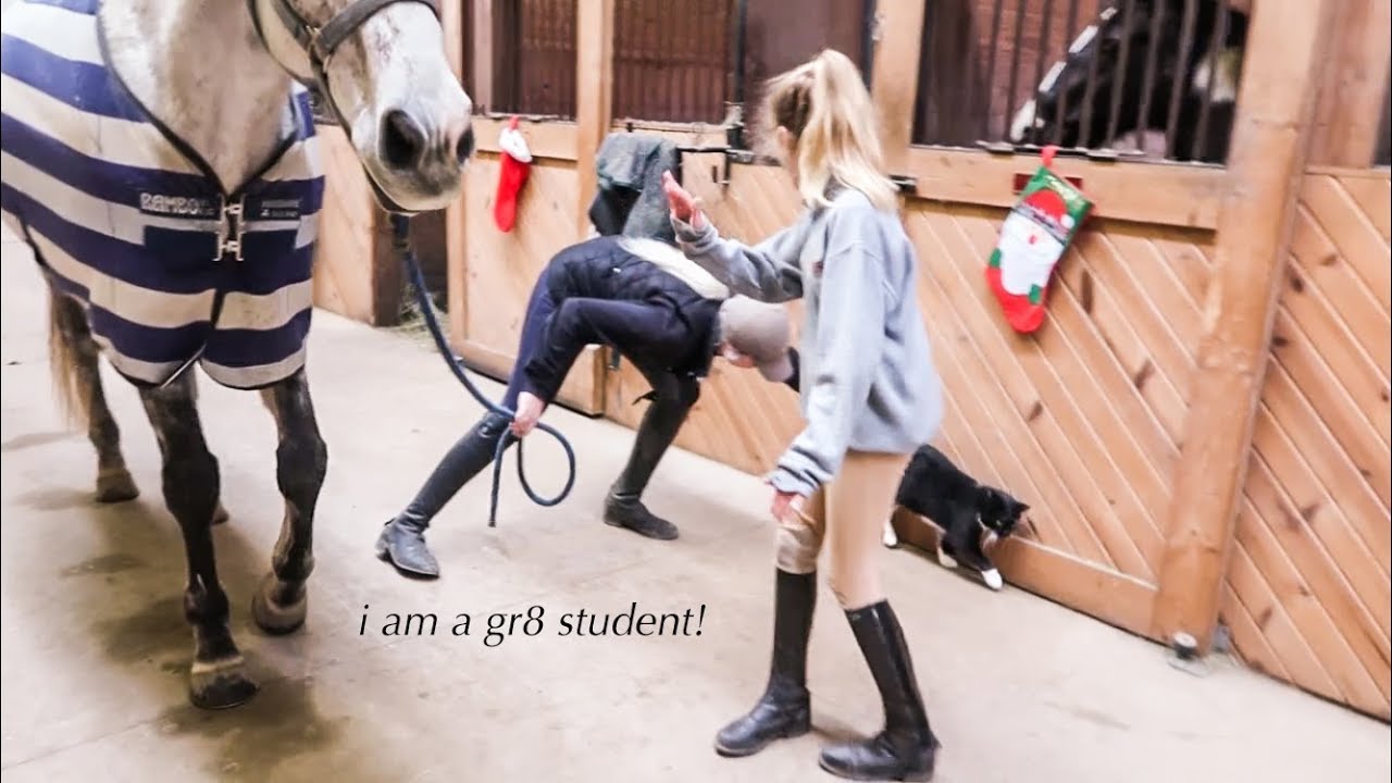student gives trainer lesson // grooming & tacking up