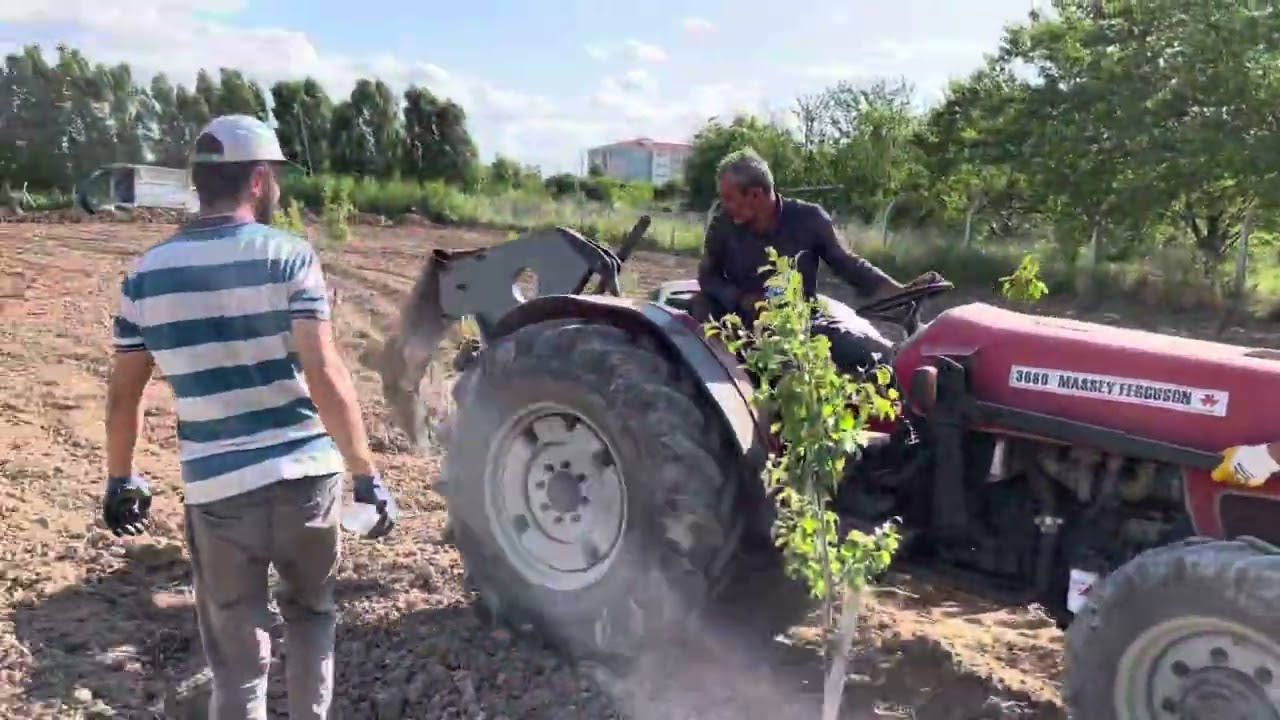 09.06.2023-Malatya/ Dilek / Örenönü arsa üzerine meyve ve kayısı bahçesi sulama sistemi çalışması.