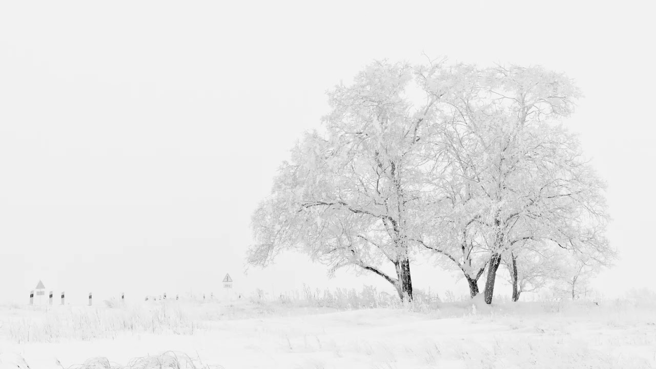 Waiting for winter (a piano playlist)