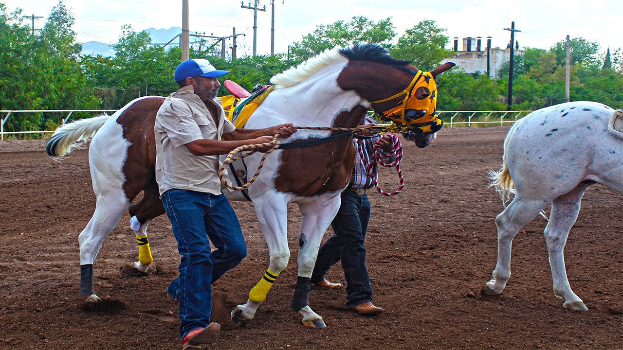 EL RUSO VS EL CACIQUE | CARRERAS DE CABALLOS | DE LA GARZA PHOTOFINISH