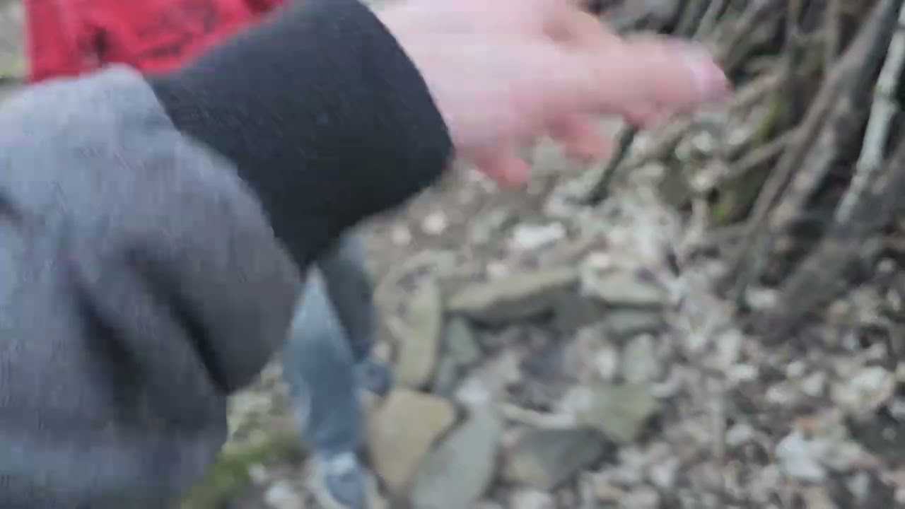 2 vs wild im Wald kämpfen (wird von Profis ausgeführt)