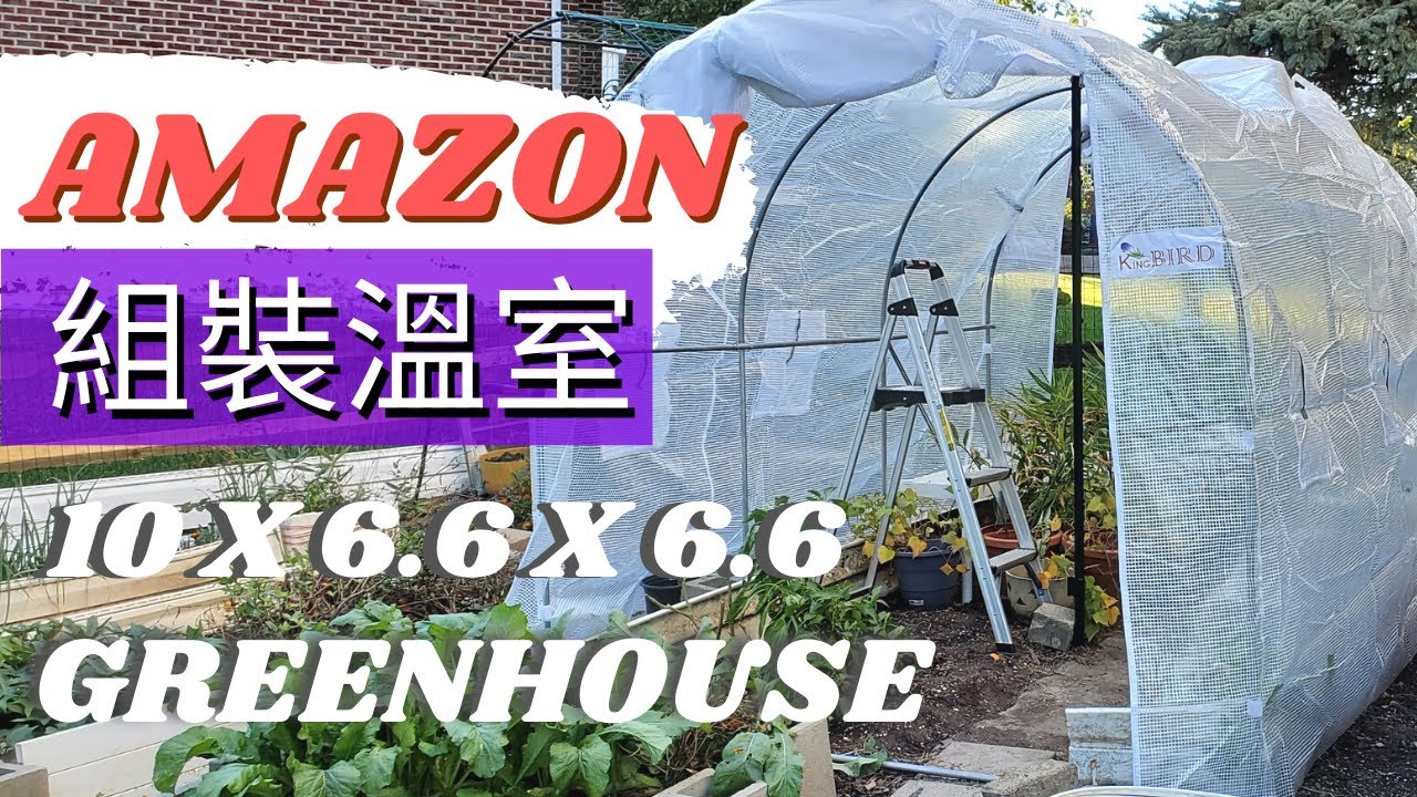 帶紗窗紗門的亞馬遜隧道小暖棚【組裝小暖屋】走進式簡易溫室 Set Up/Assemble Amazon King Bird Greenhouse 10x6.6x6.6 Polytunnel