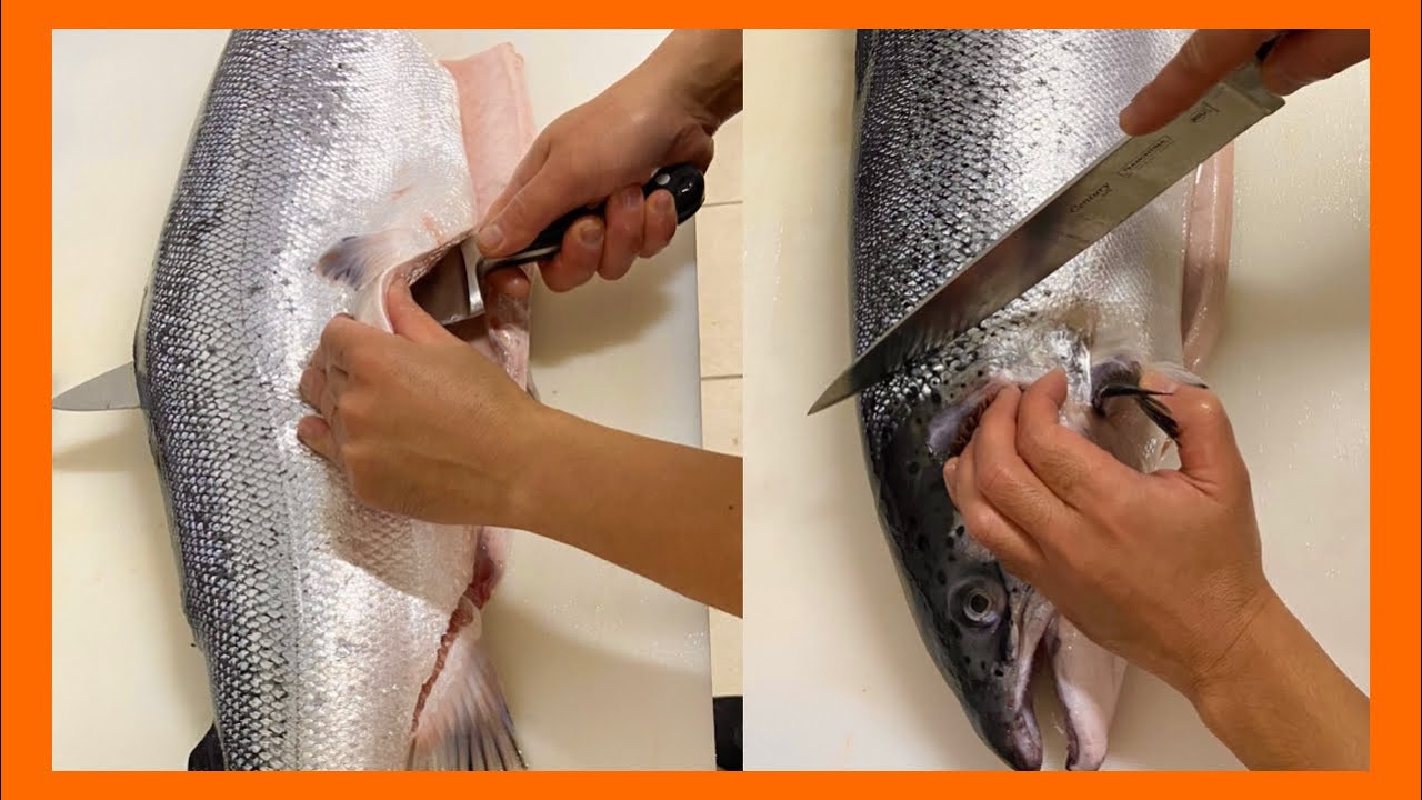 COMO LIMPAR SALMÃO E DEIXAR SÓ O FILÉ