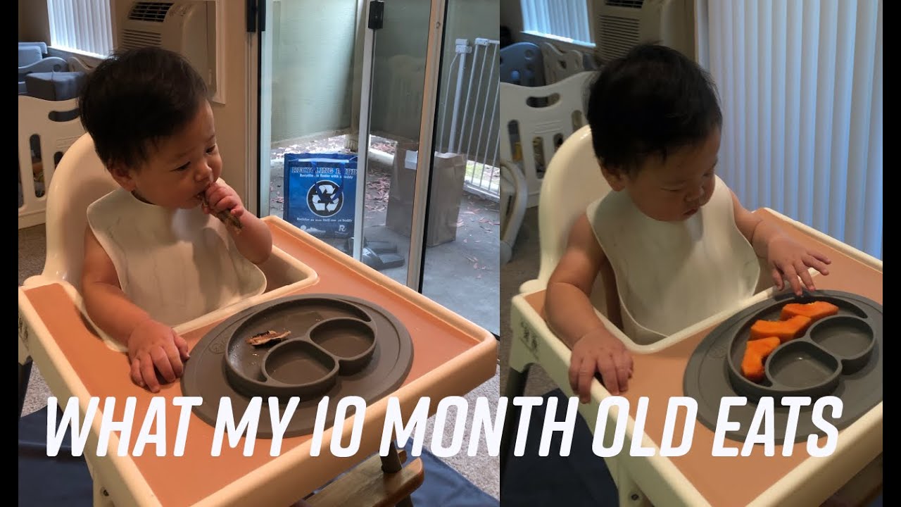 What my 10 month old eats in a day (BLW prep and clean up)