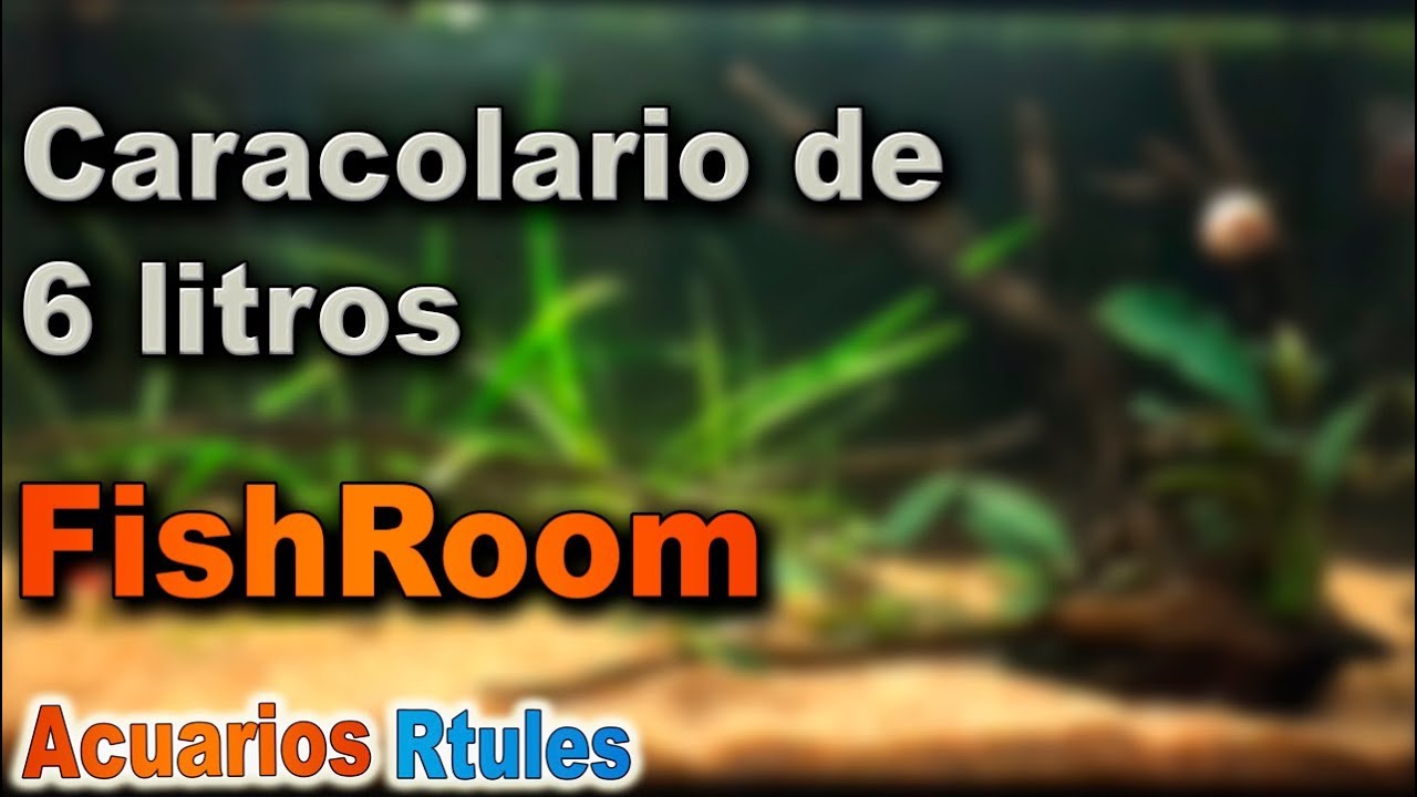 FishRoom: Evolución y mantenimiento del caracolario