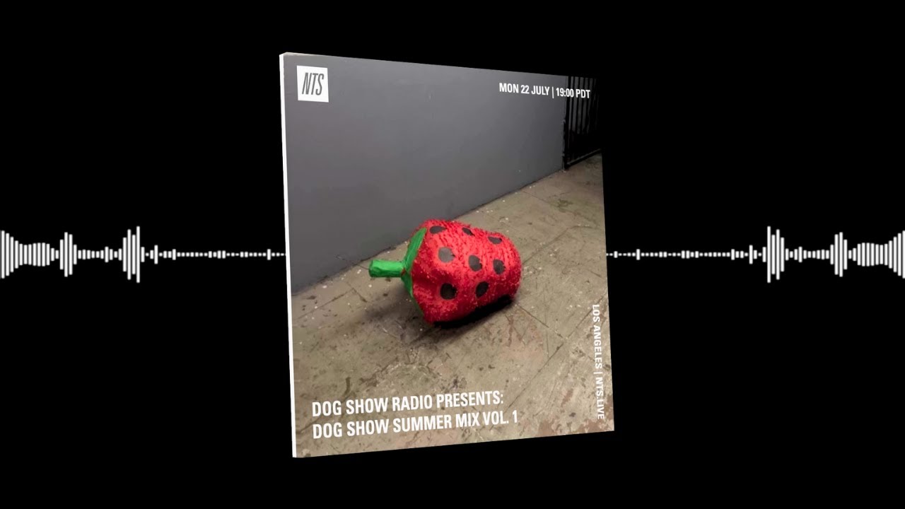 Dylan Brady Dog Show Summer Mix Vol. 1