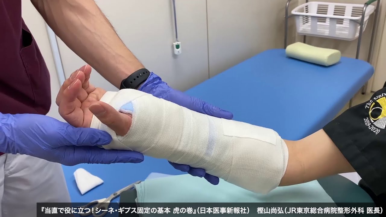 動画11「sugar-tongシーネ」