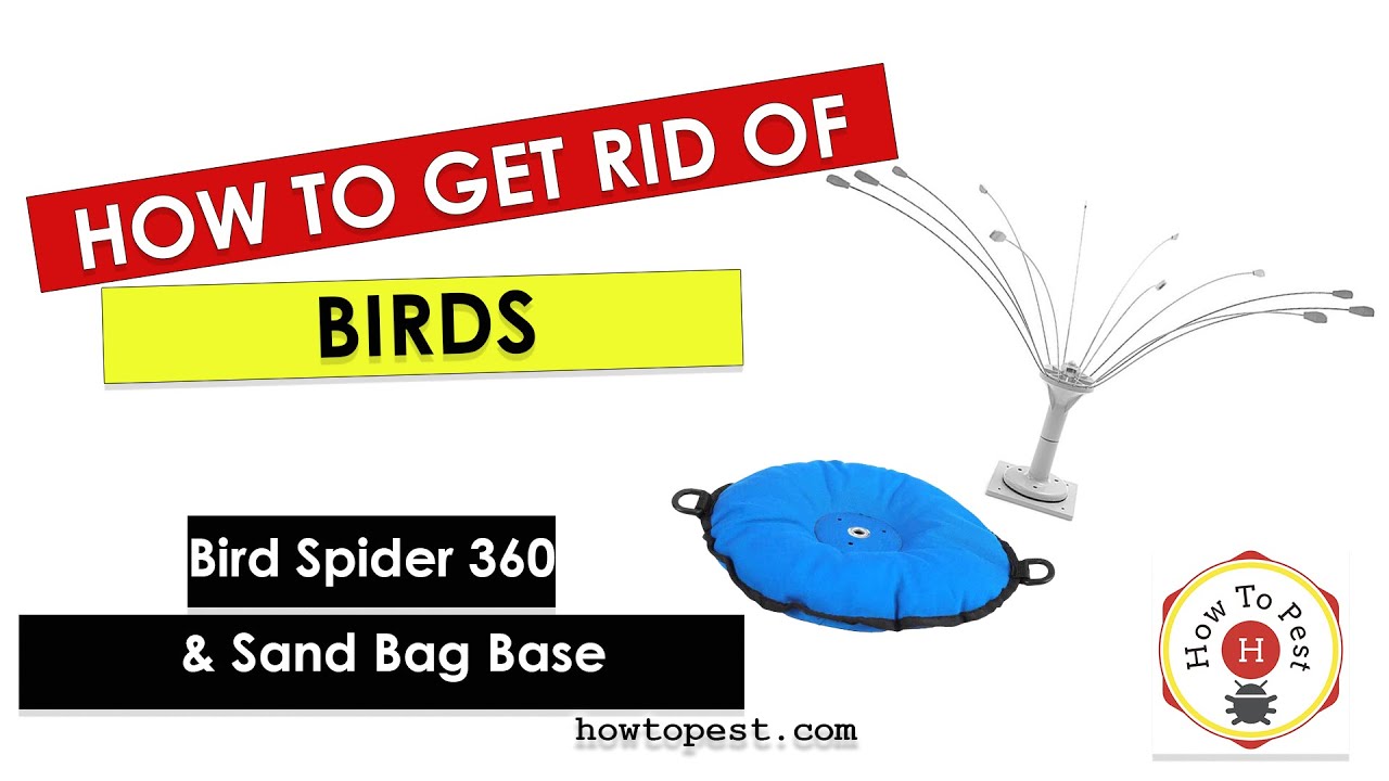 How to Get Rid of Pigeons & Seagulls – Bird Spider 360 Review & Setup (Bird-B-Gone)