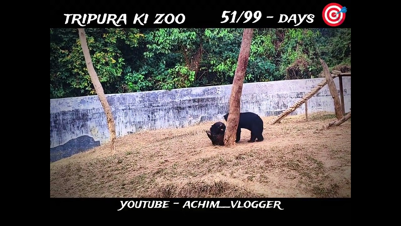 Tripura ki zoo 💯 #blogger#vlog #trending #tripura 
