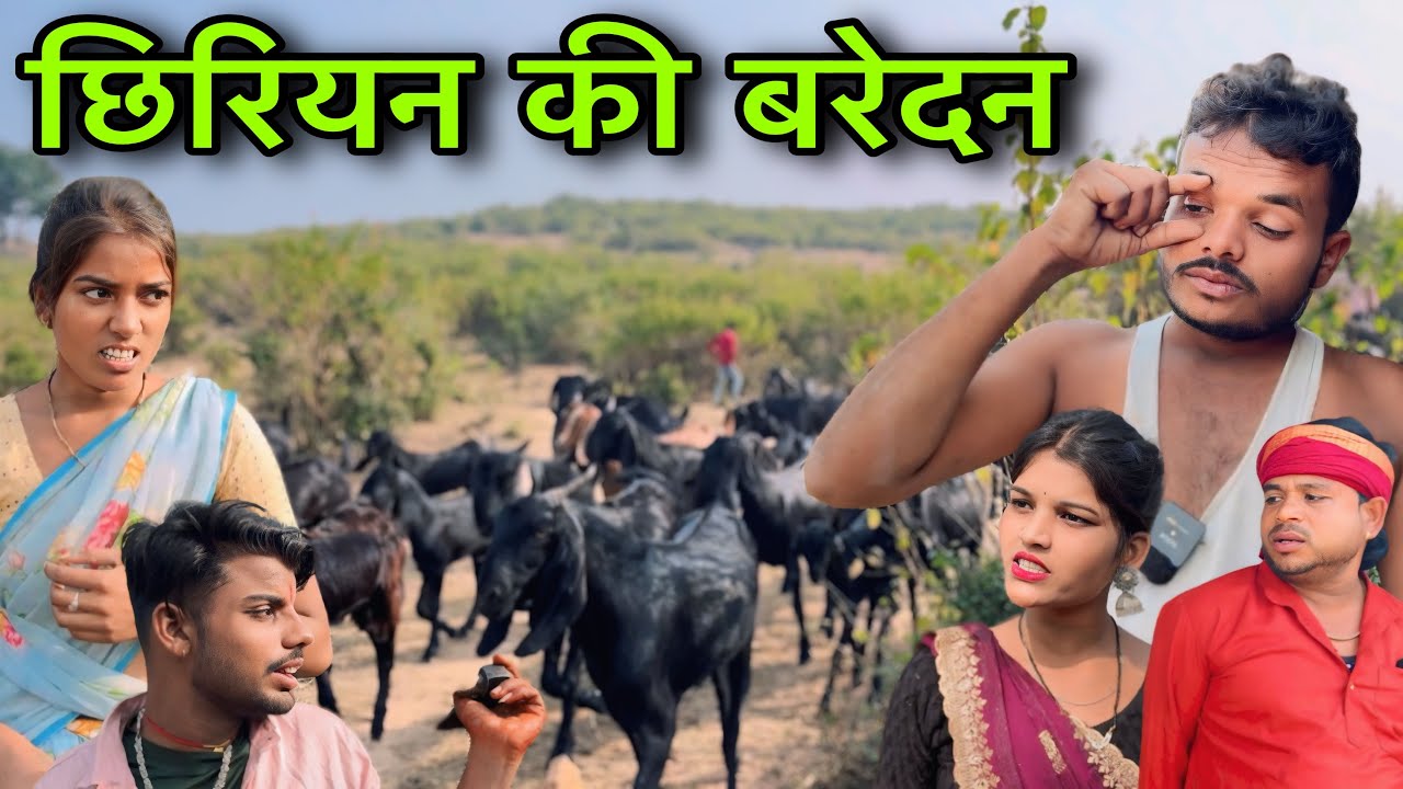 छिरियन की बरेदन ।। बुंदेली शॉर्ट फिल्म ।। bundeli comedy sunil devraj jittu bhaiya ki comedy
