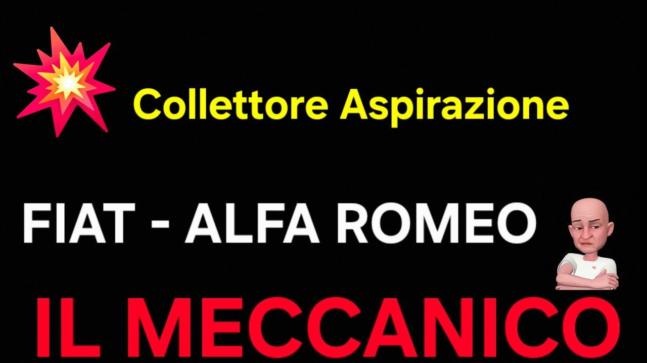 Problema collettore aspirazione FIAT / ALFA 1.6 - 2.0 MJT : -SOSTITUZIONE-