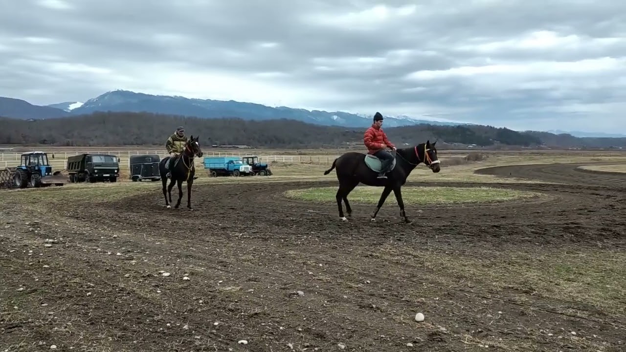 1 марта 2026 г.
